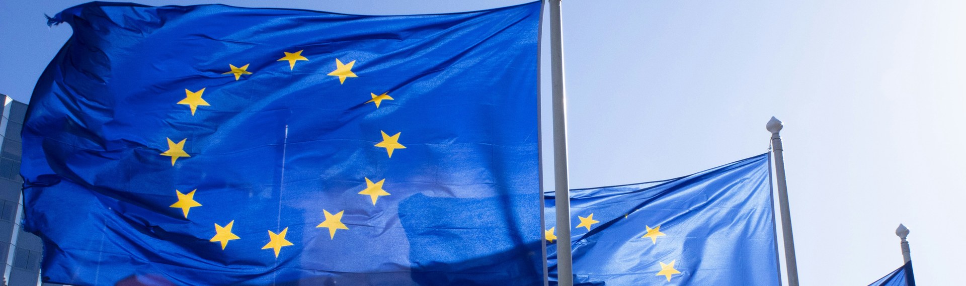 Europos Sąjungos vėliavos
